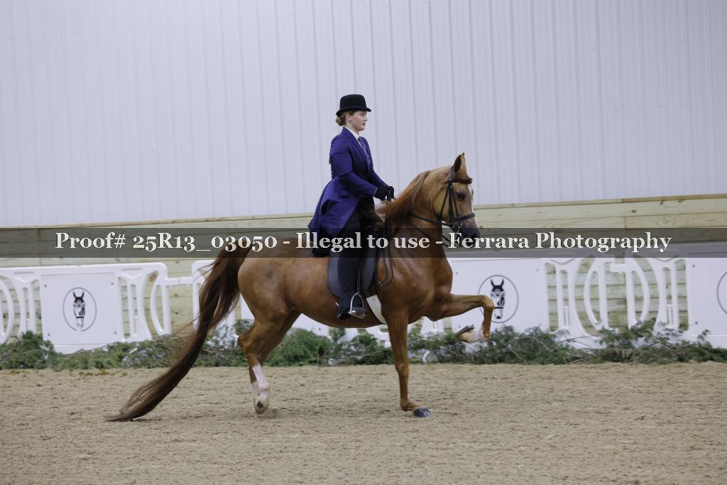 Proof Number 25R13_03050