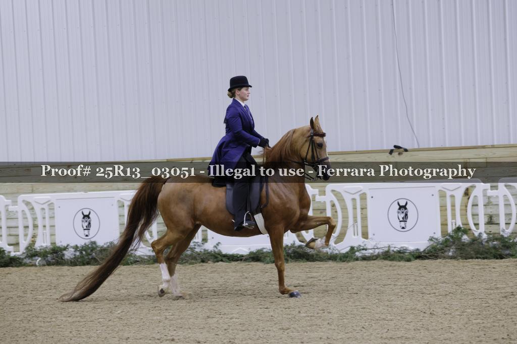 Proof Number 25R13_03051