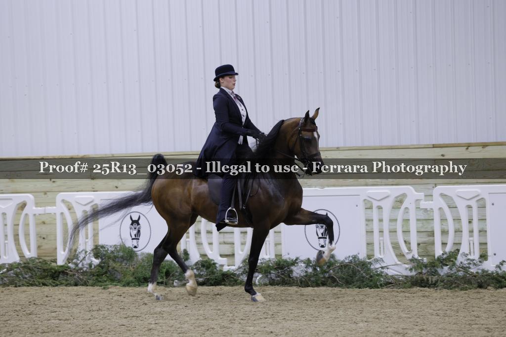 Proof Number 25R13_03052