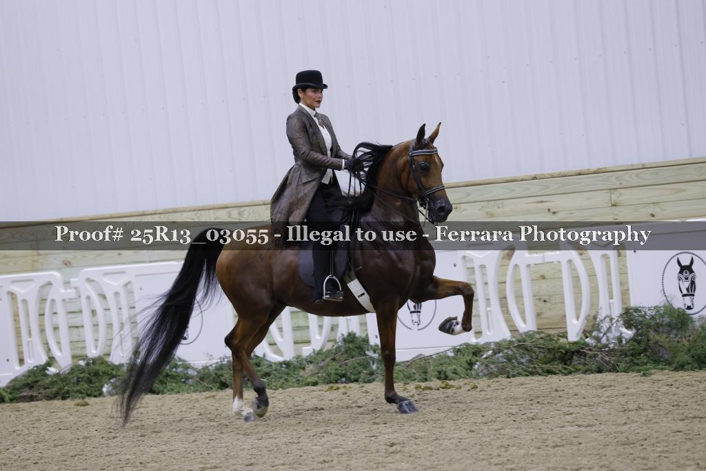 Proof Number 25R13_03055