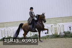 25R13_03055 thumbnail