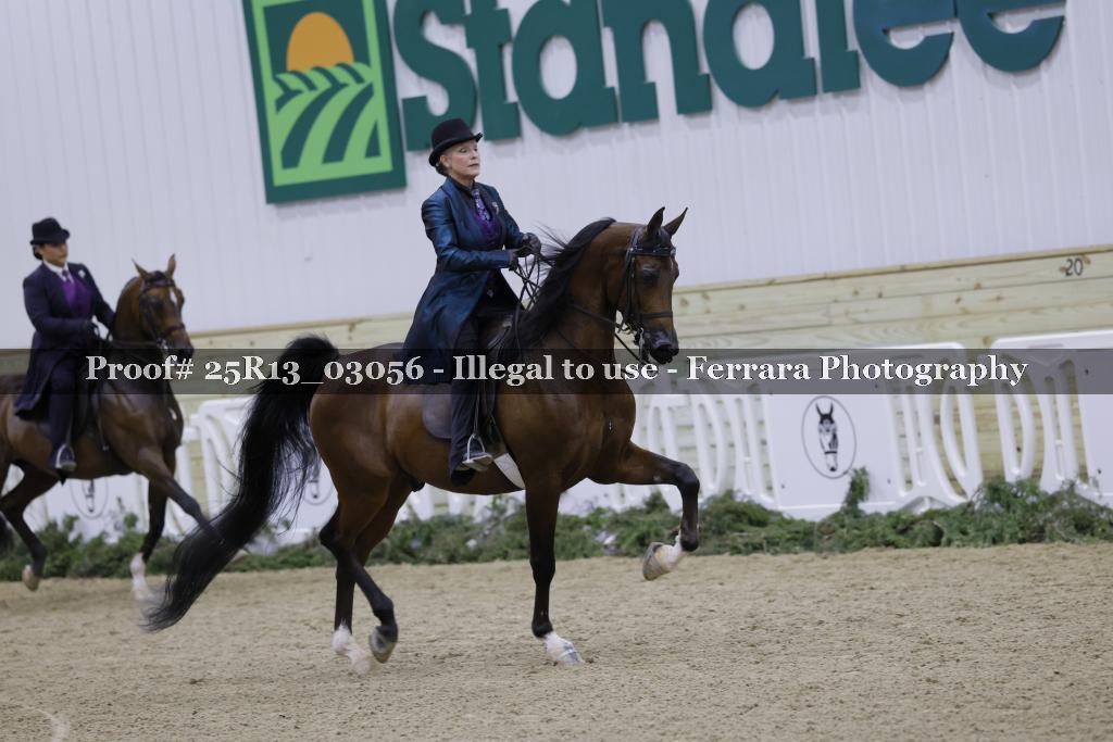 Proof Number 25R13_03056