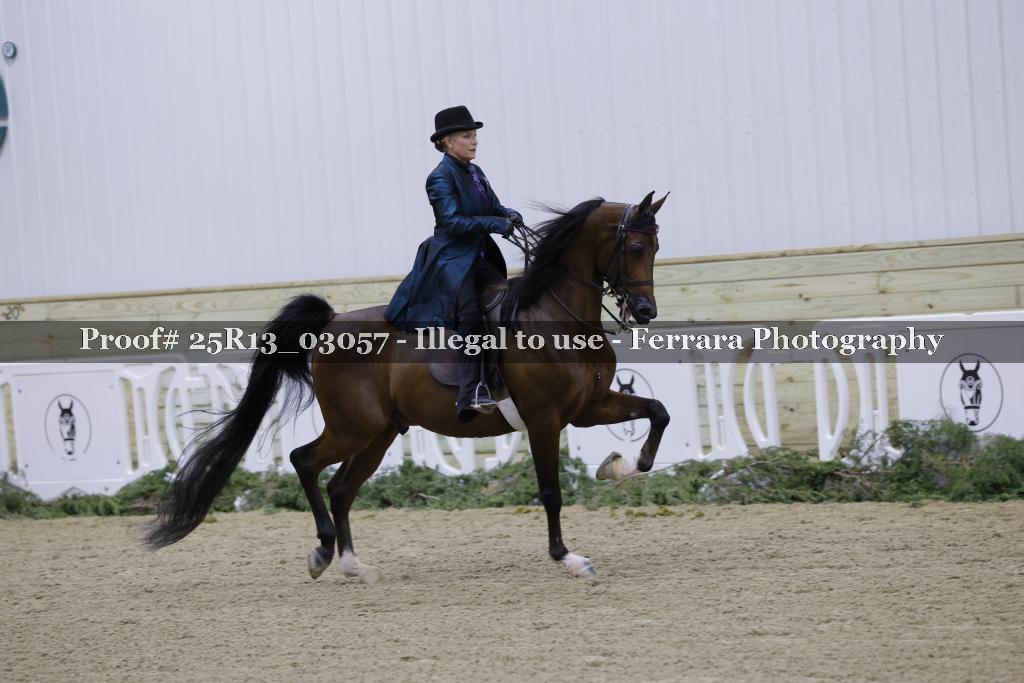 Proof Number 25R13_03057