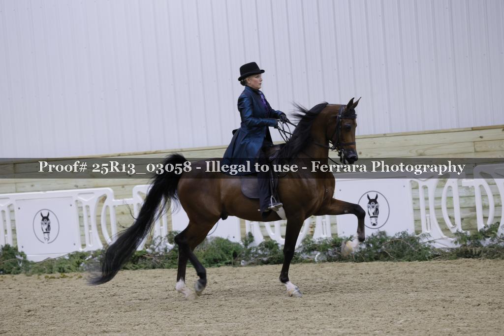 Proof Number 25R13_03058