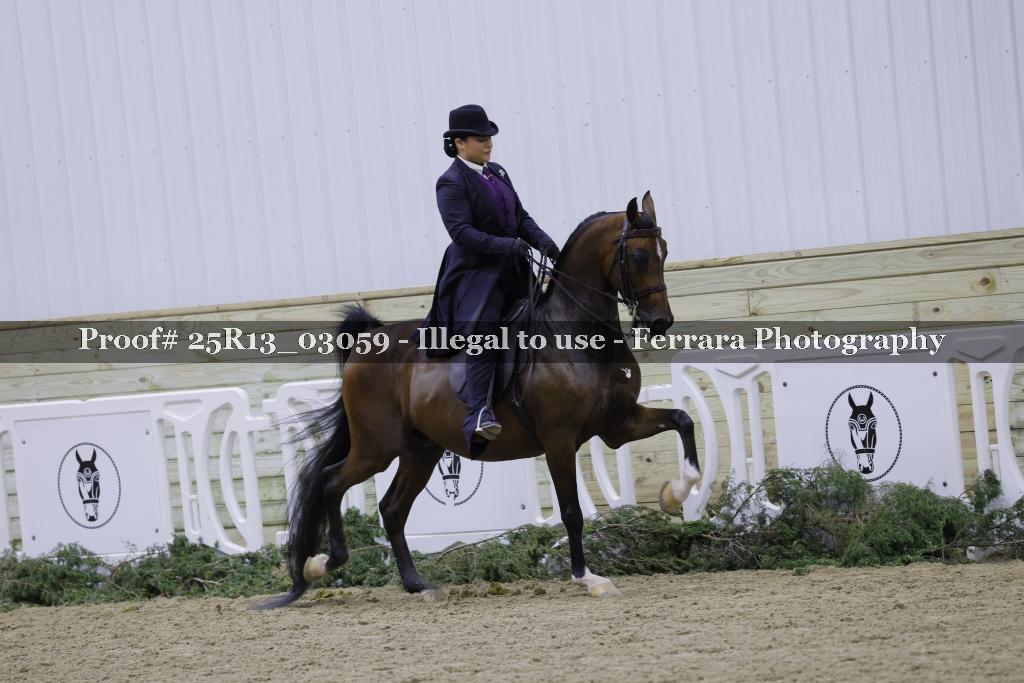 Proof Number 25R13_03059