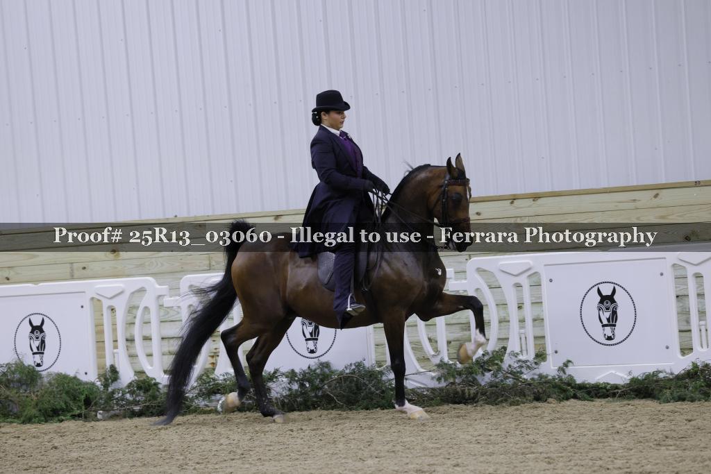 Proof Number 25R13_03060