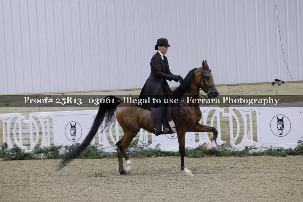 Proof Number 25R13_03061