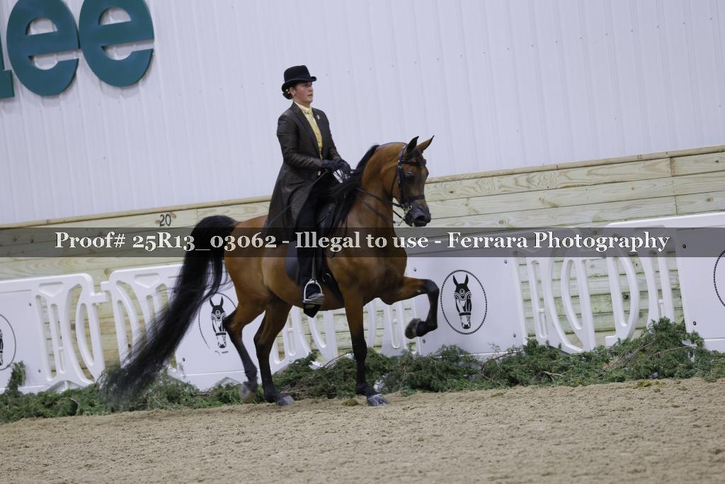 Proof Number 25R13_03062