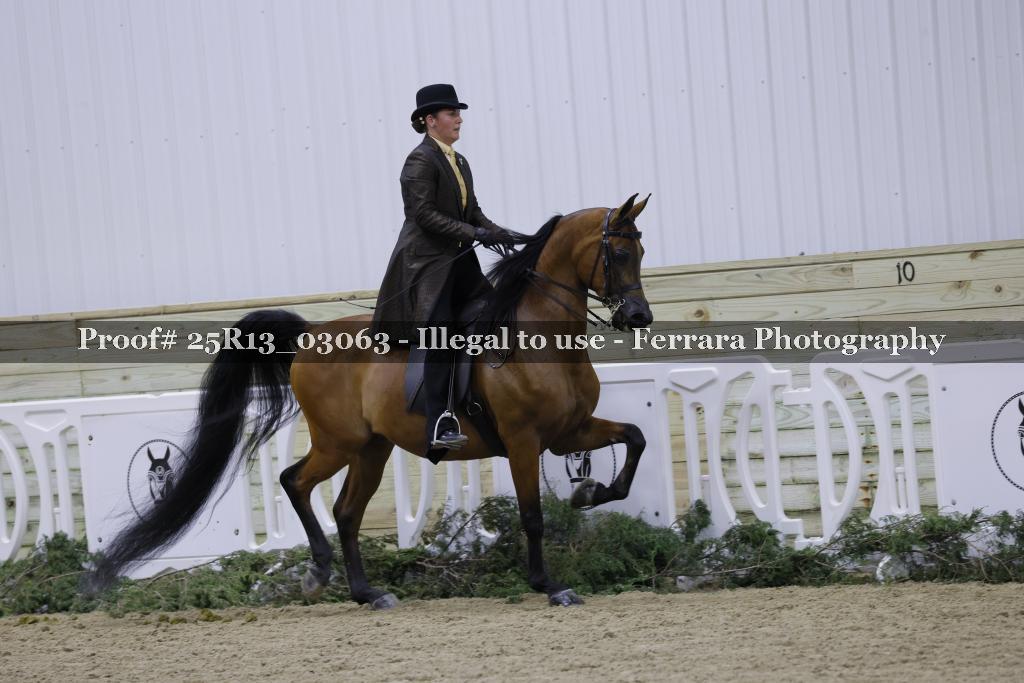 Proof Number 25R13_03063