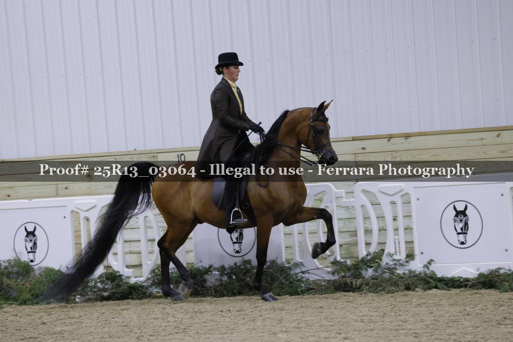 Proof Number 25R13_03064