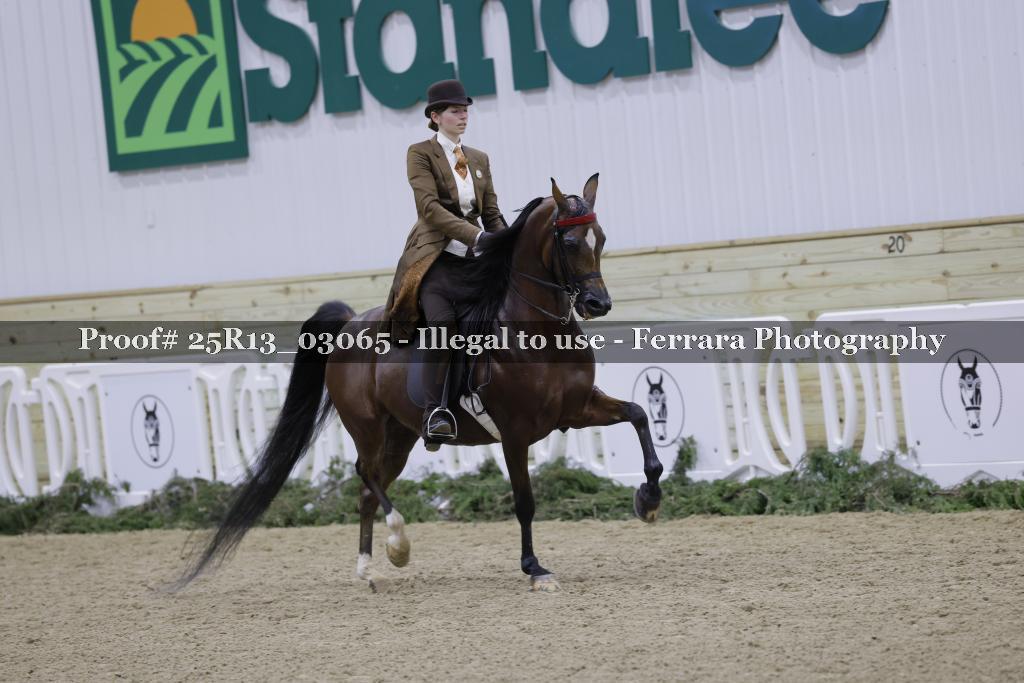 Proof Number 25R13_03065