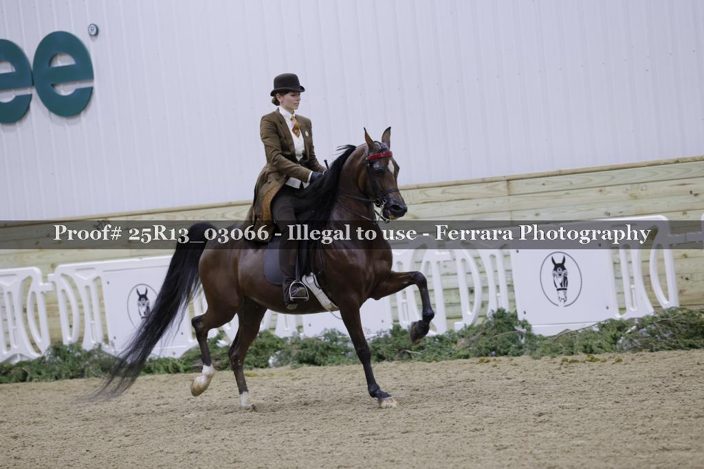 Proof Number 25R13_03066
