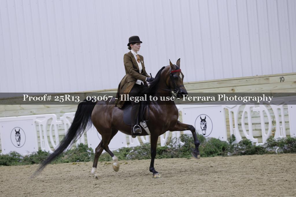 Proof Number 25R13_03067