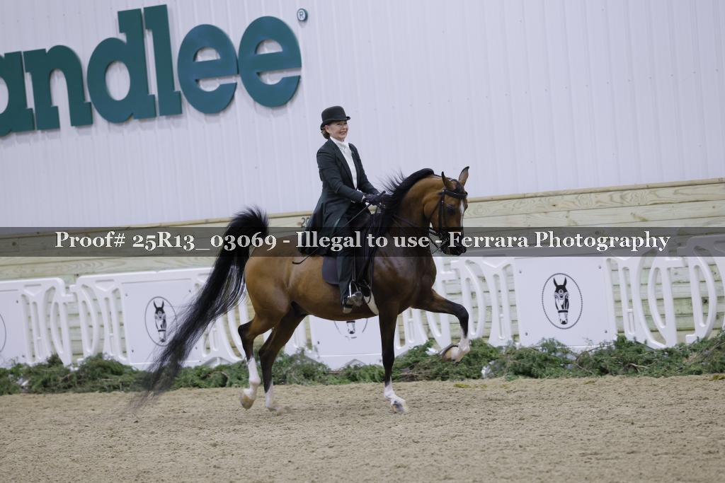 Proof Number 25R13_03069