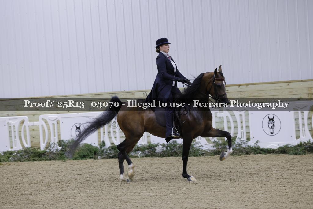 Proof Number 25R13_03070