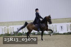 25R13_03070 thumbnail