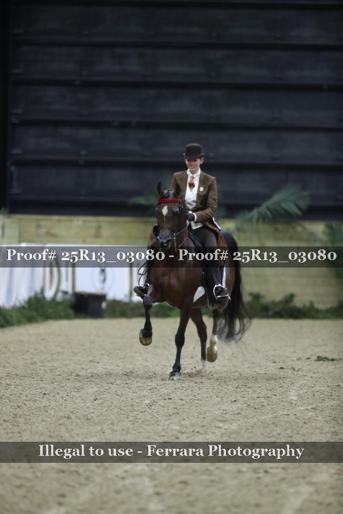 Proof Number 25R13_03080