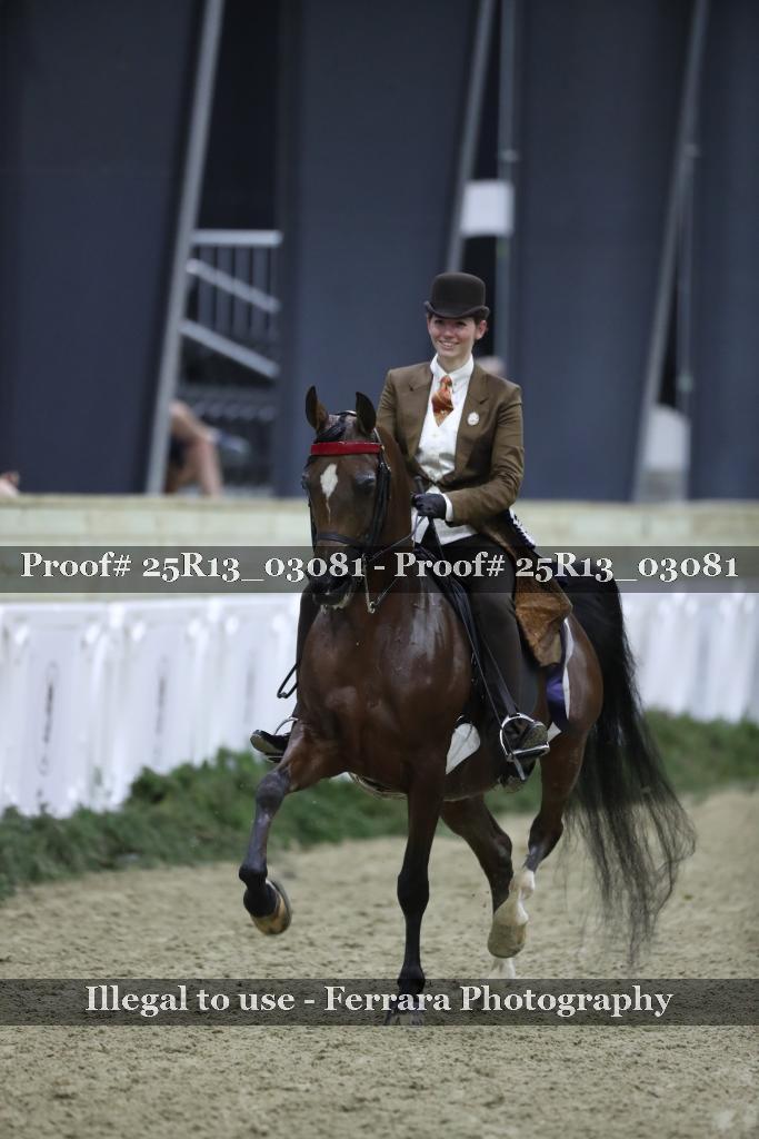 Proof Number 25R13_03081