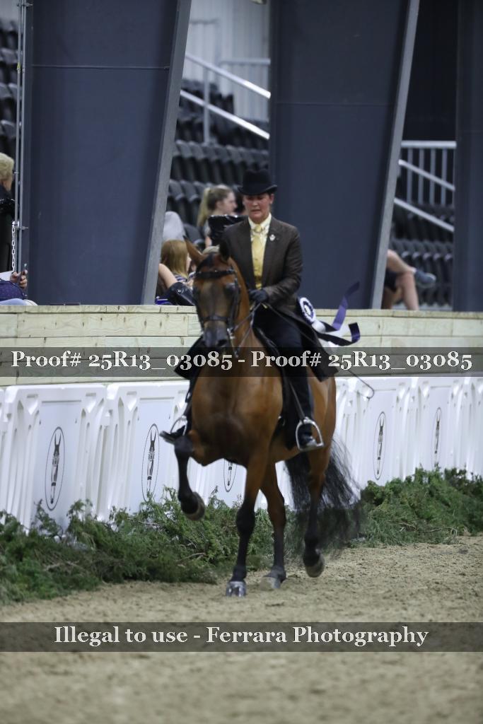 Proof Number 25R13_03085