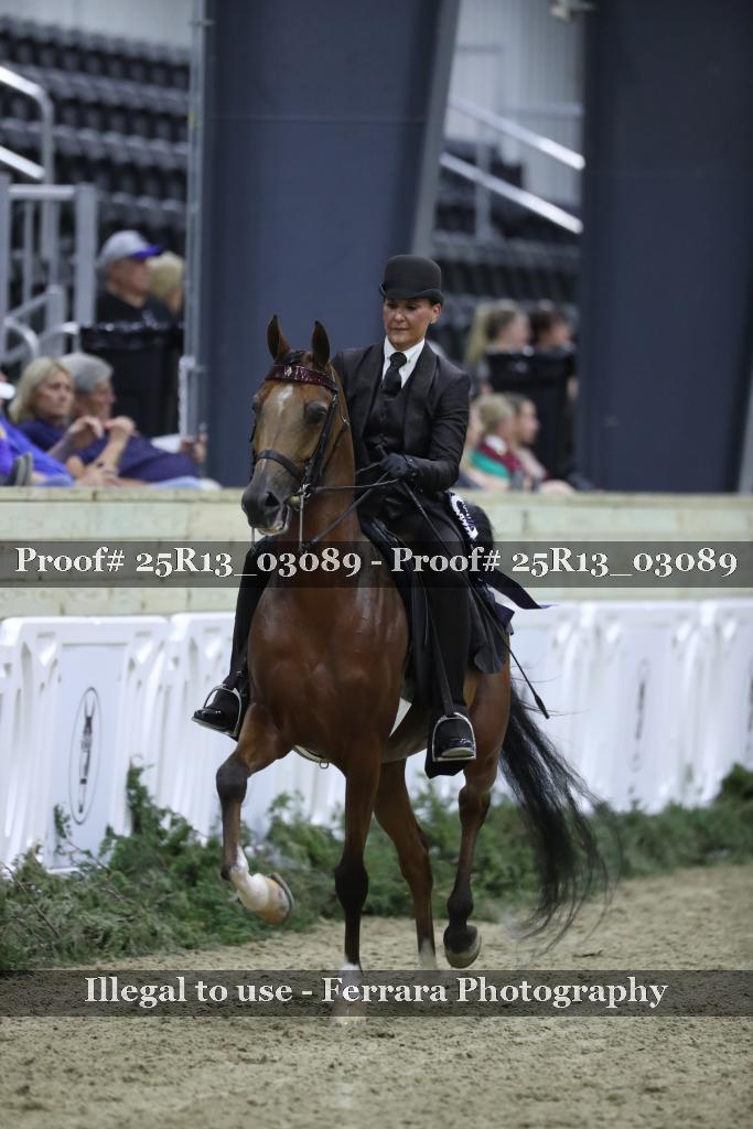 Proof Number 25R13_03089