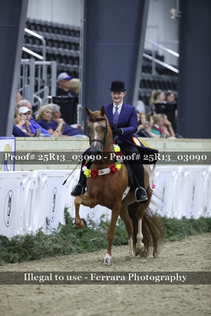 Proof Number 25R13_03090