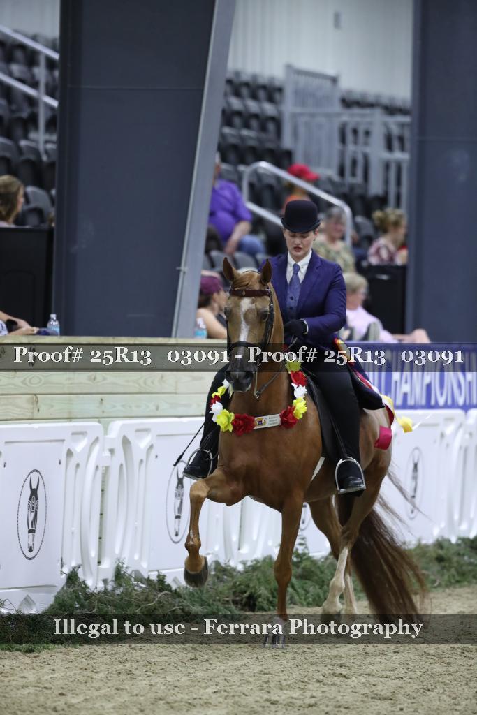 Proof Number 25R13_03091