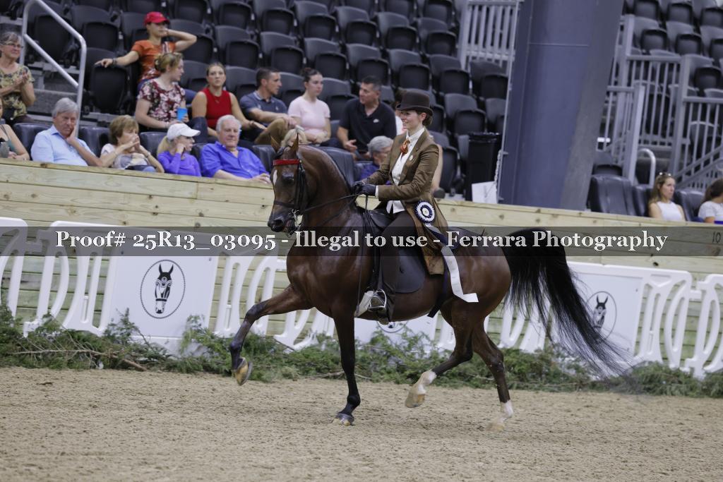 Proof Number 25R13_03095