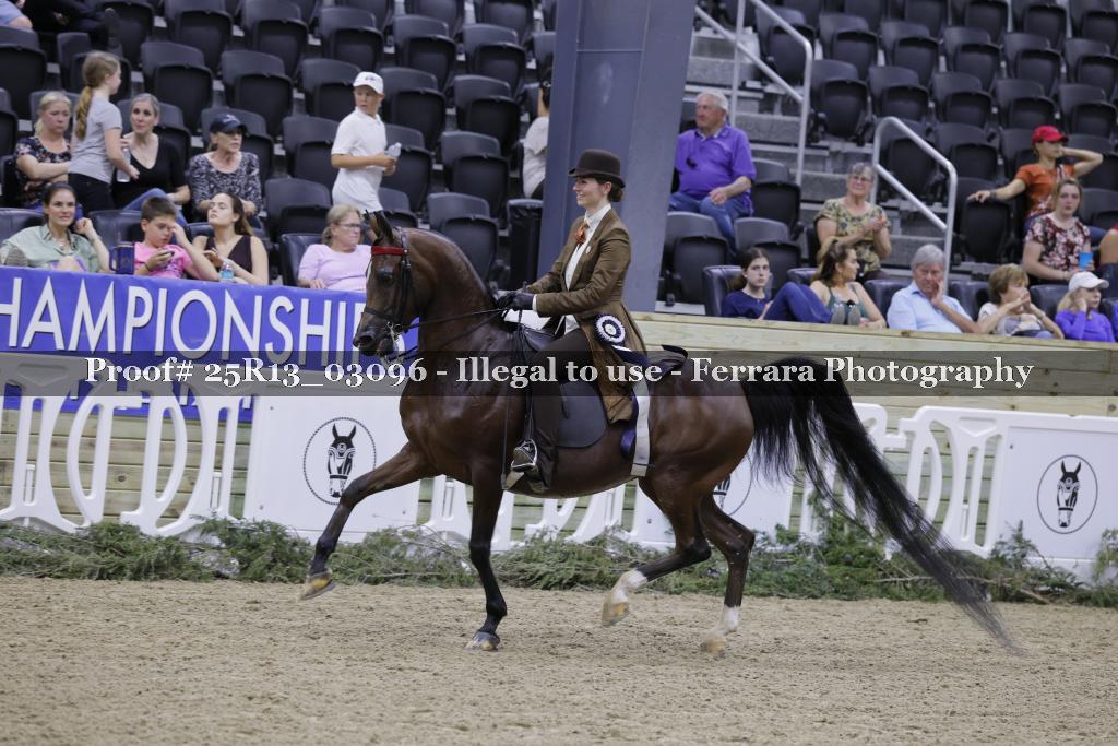 Proof Number 25R13_03096