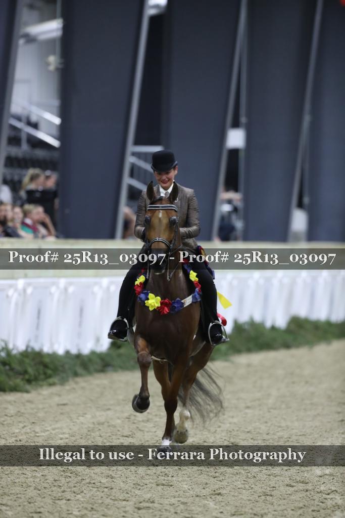 Proof Number 25R13_03097