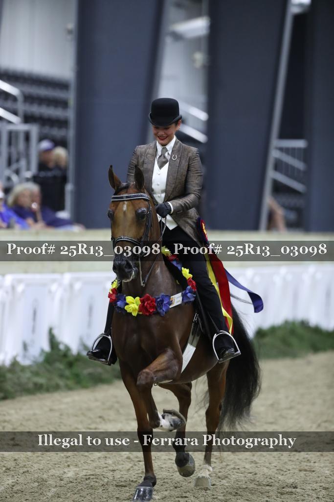 Proof Number 25R13_03098