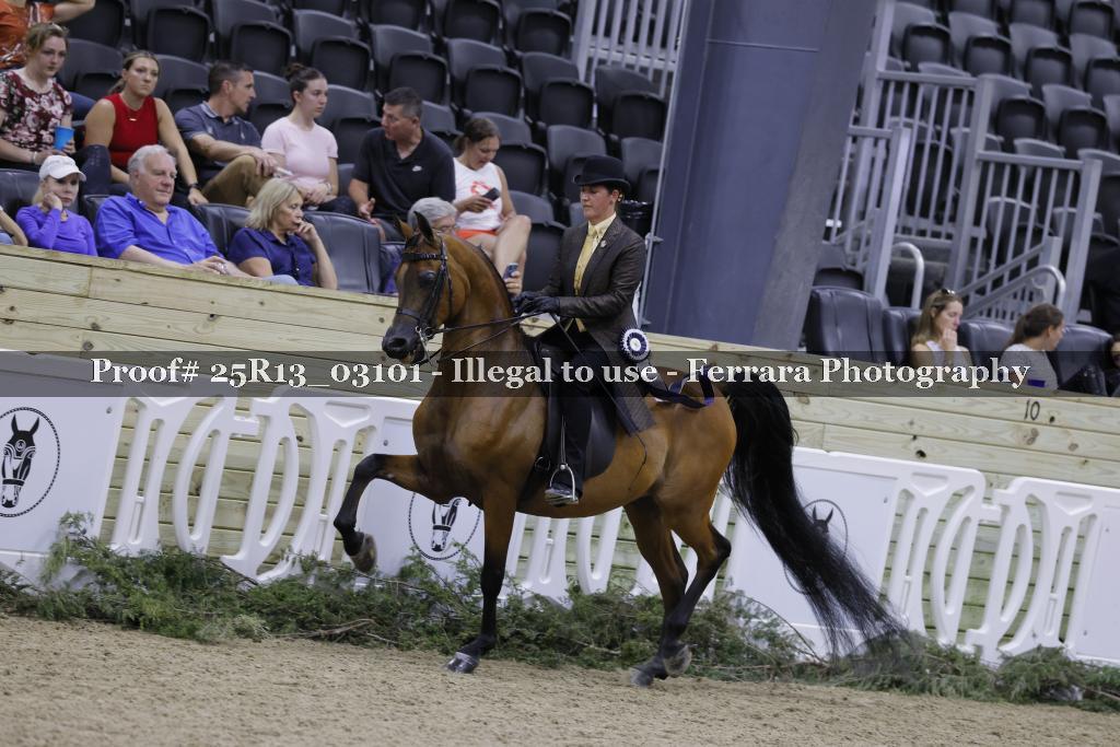 Proof Number 25R13_03101