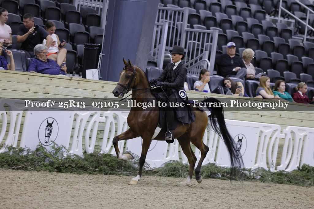 Proof Number 25R13_03105