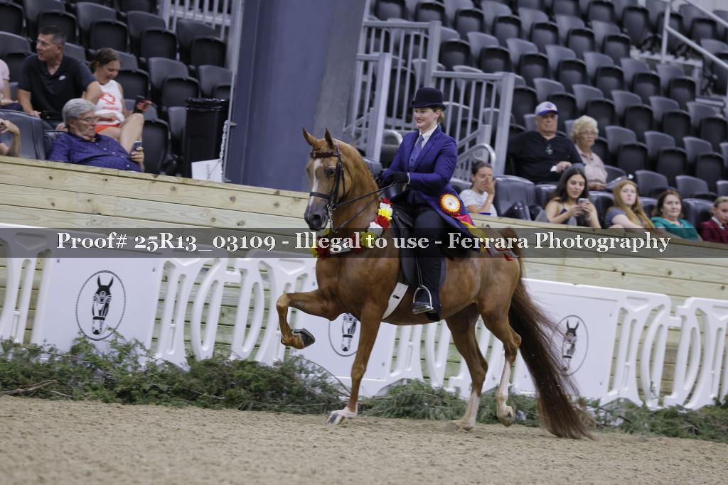 Proof Number 25R13_03109