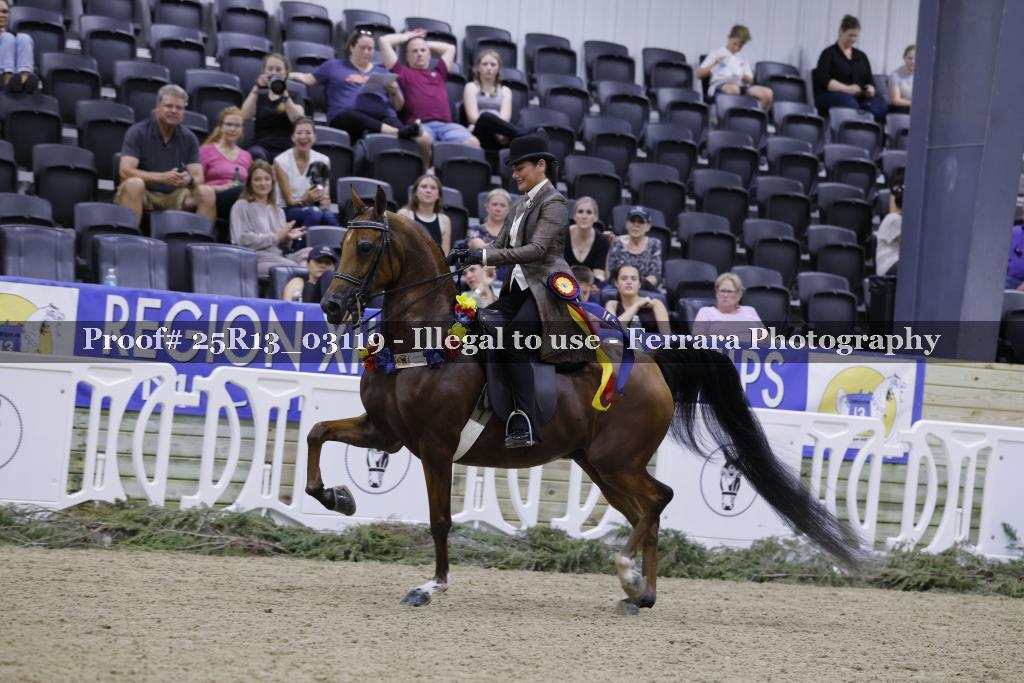 Proof Number 25R13_03119