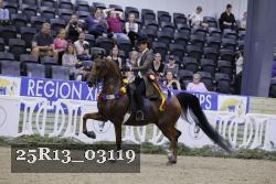 25R13_03119 thumbnail