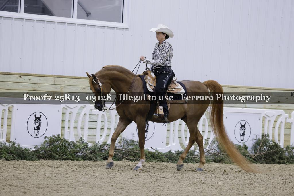 Proof Number 25R13_03128