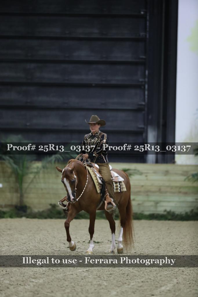 Proof Number 25R13_03137