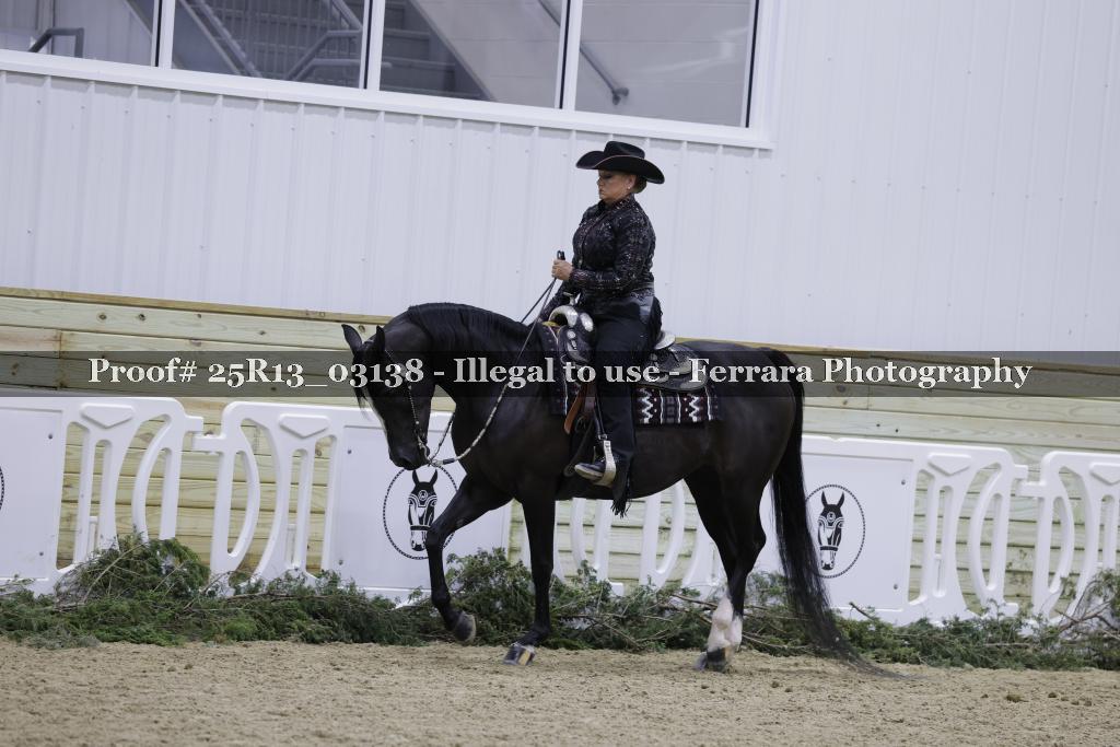 Proof Number 25R13_03138