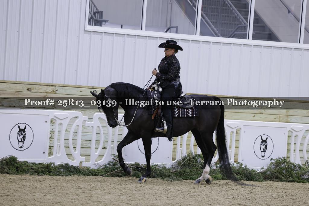 Proof Number 25R13_03139