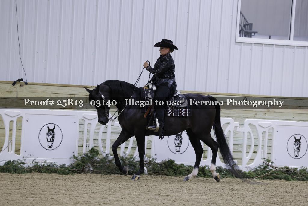 Proof Number 25R13_03140