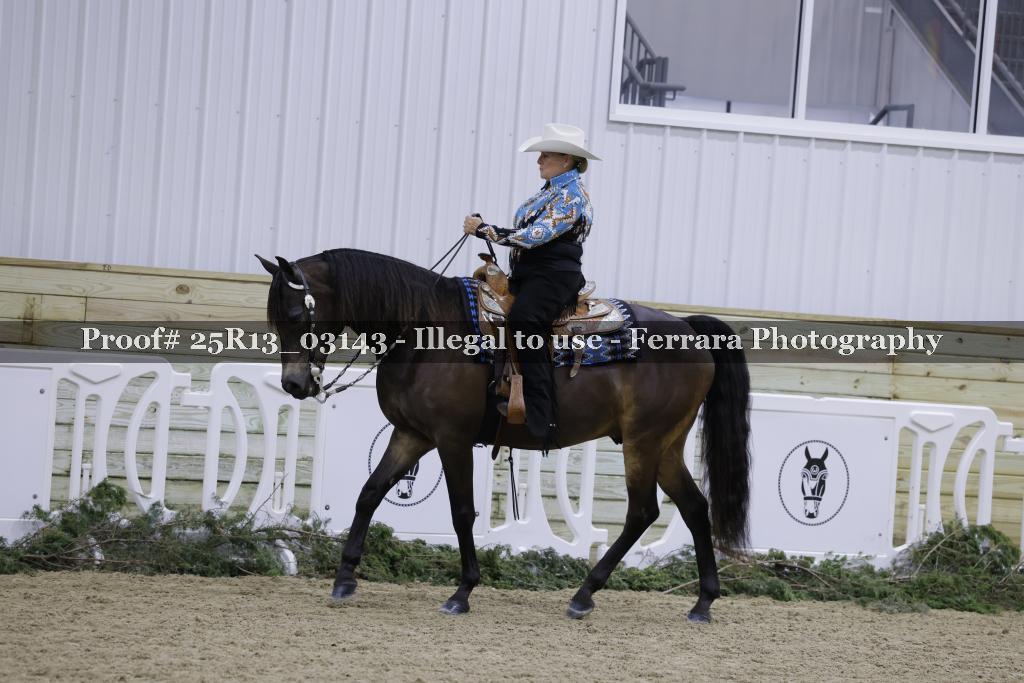 Proof Number 25R13_03143