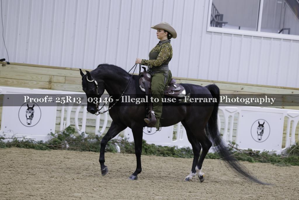 Proof Number 25R13_03146