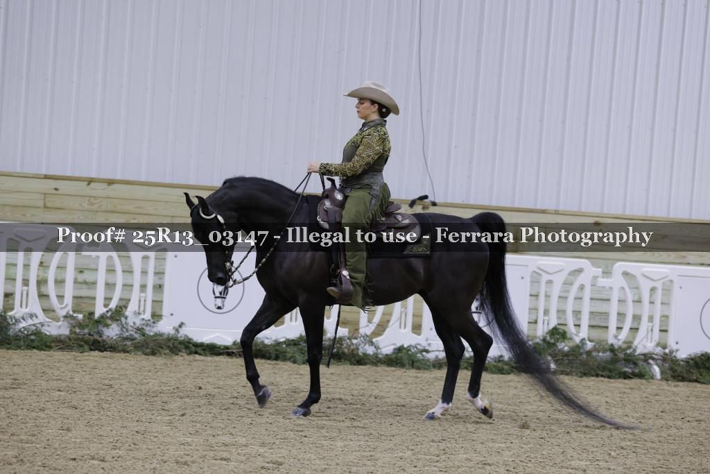 Proof Number 25R13_03147