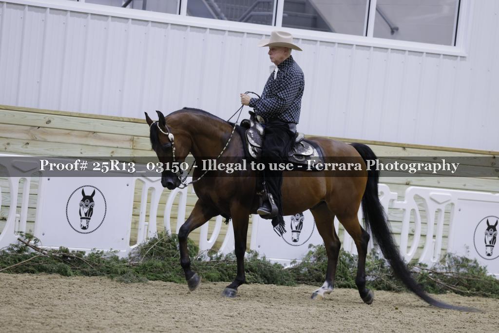 Proof Number 25R13_03150