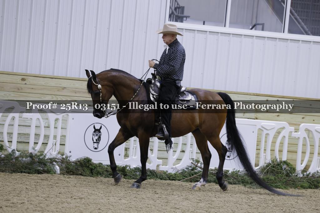 Proof Number 25R13_03151