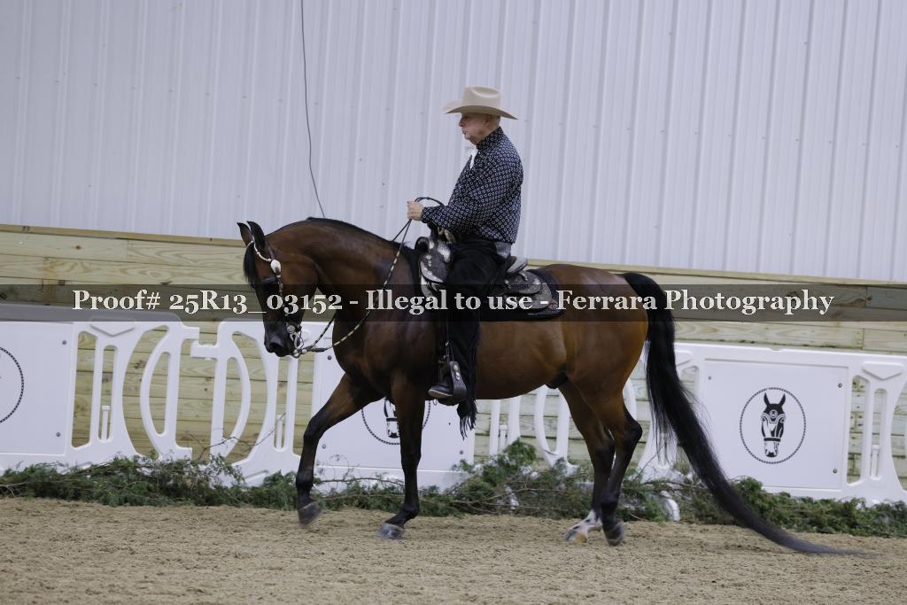 Proof Number 25R13_03152