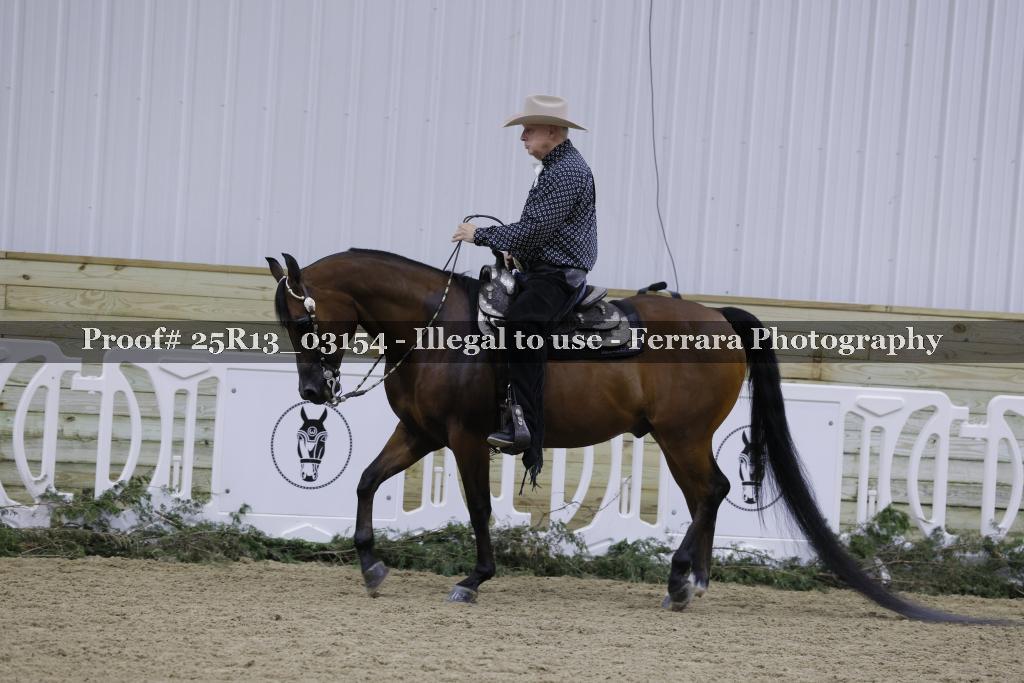 Proof Number 25R13_03154