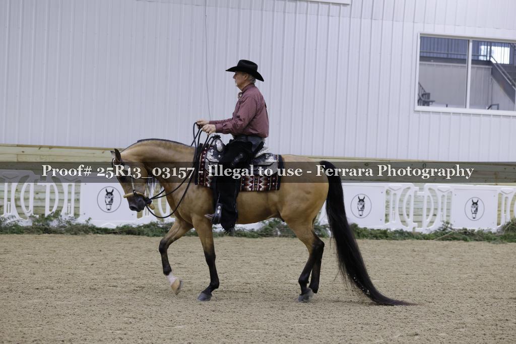 Proof Number 25R13_03157