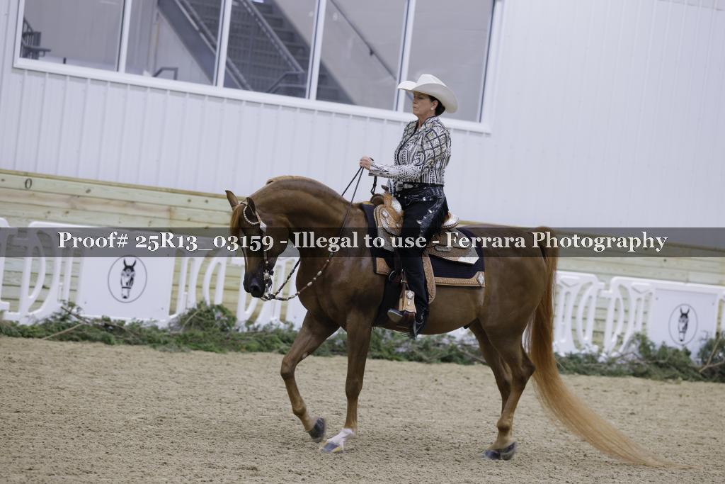 Proof Number 25R13_03159