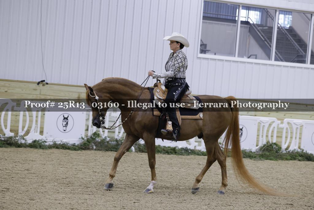 Proof Number 25R13_03160